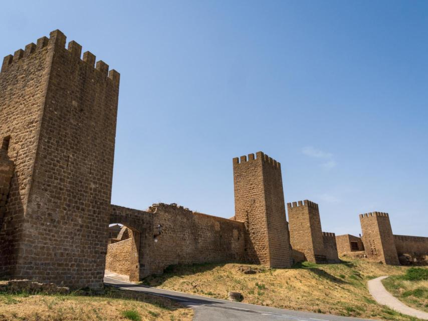 Murallas y torres del Sitio de Artajona