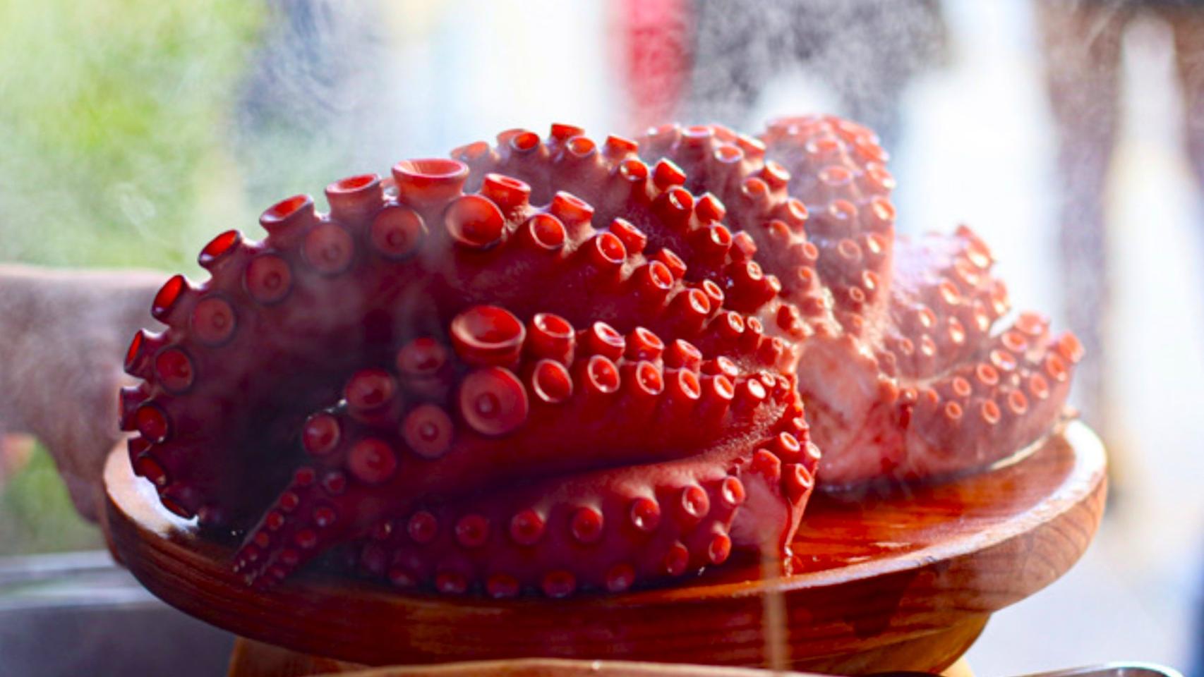El pueblo español referente que domina el mercado global exportando el 80% de su pulpo a las potencias mundiales