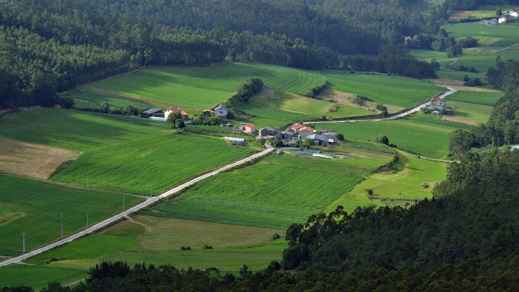 Zona de Val de Campiña, en Corcoesto.