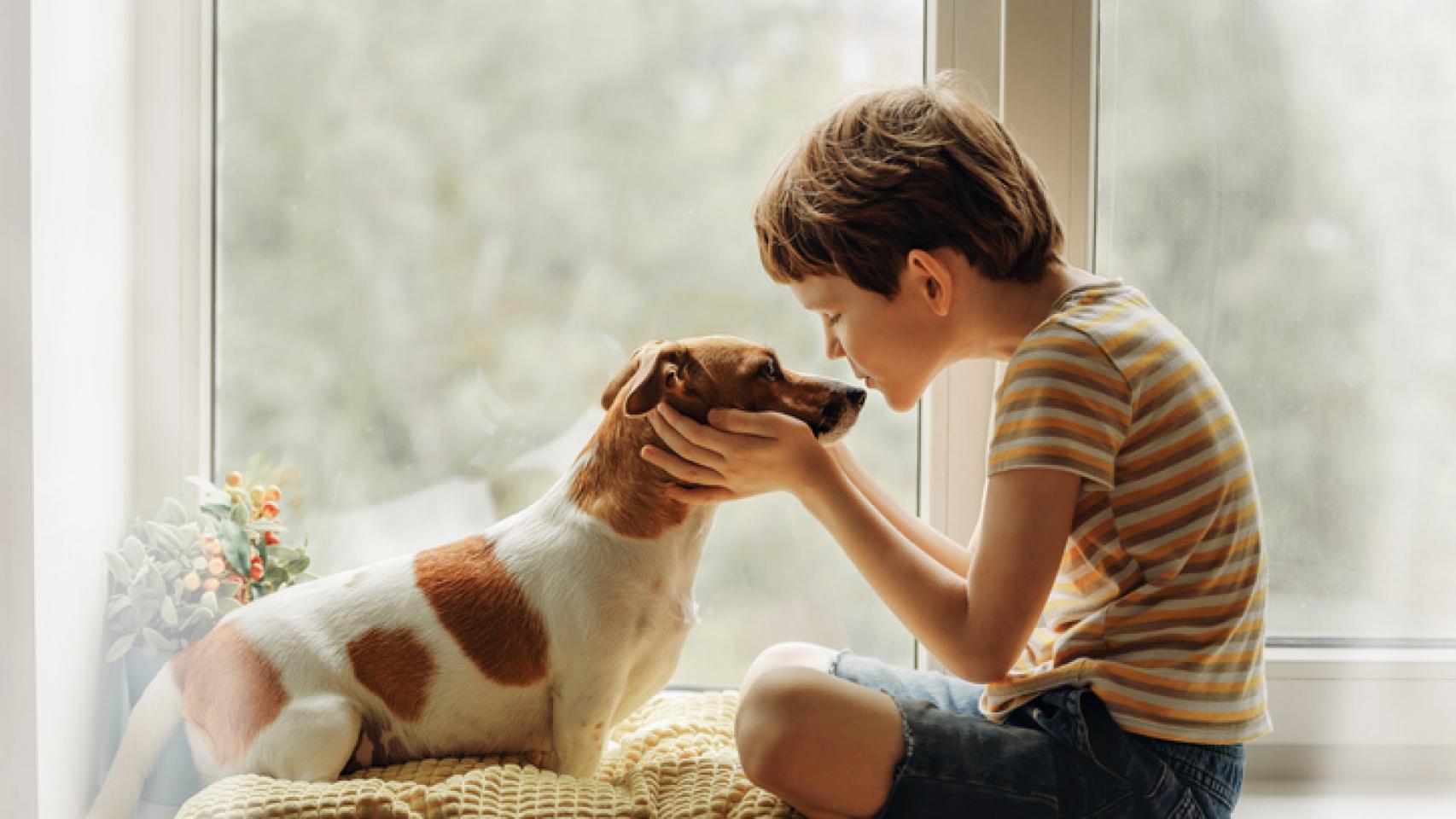 Un niño con un perro. 