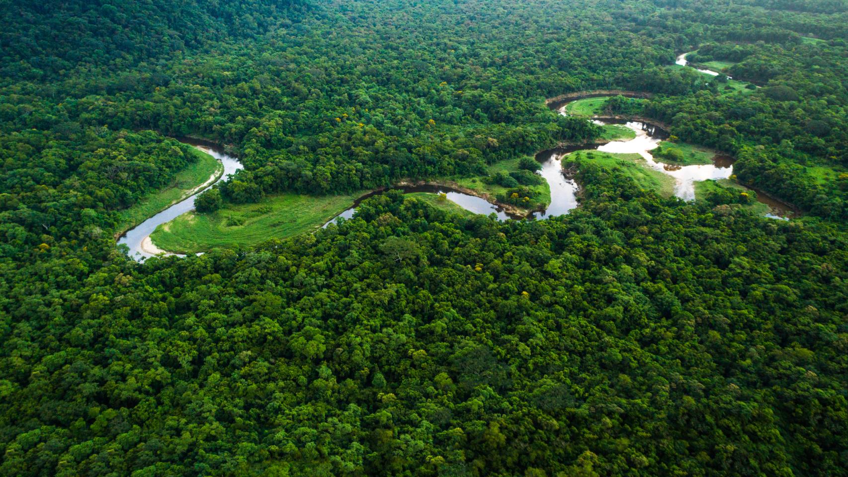 Bosque Atlántico en Brasil, Mata Atlántica.