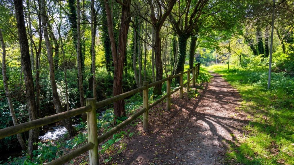 Sendero con da Romaíña - con da Ventureira en Sanxenxo (Pontevedra)
