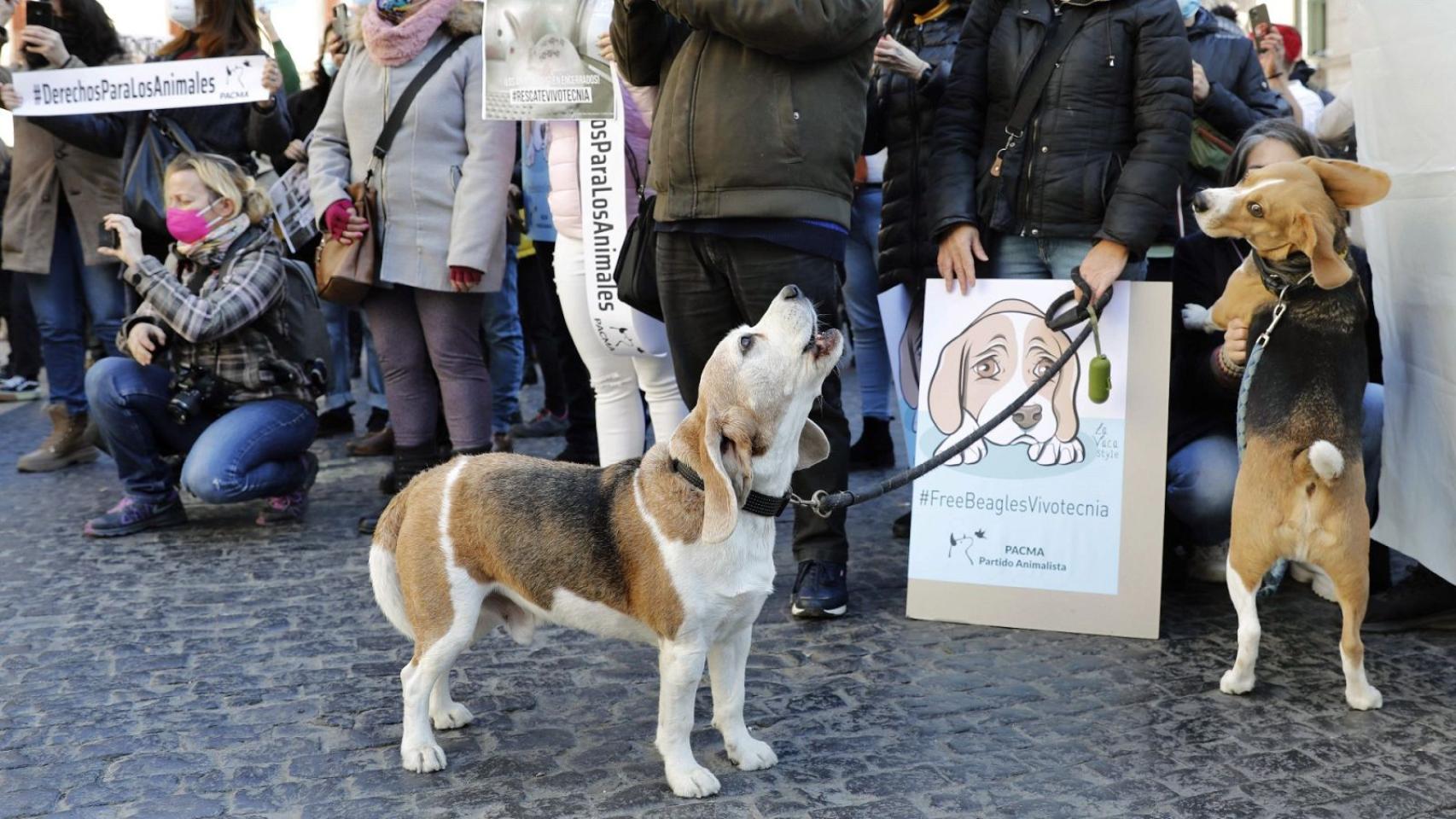 Manifestación contra Vivotecnia.