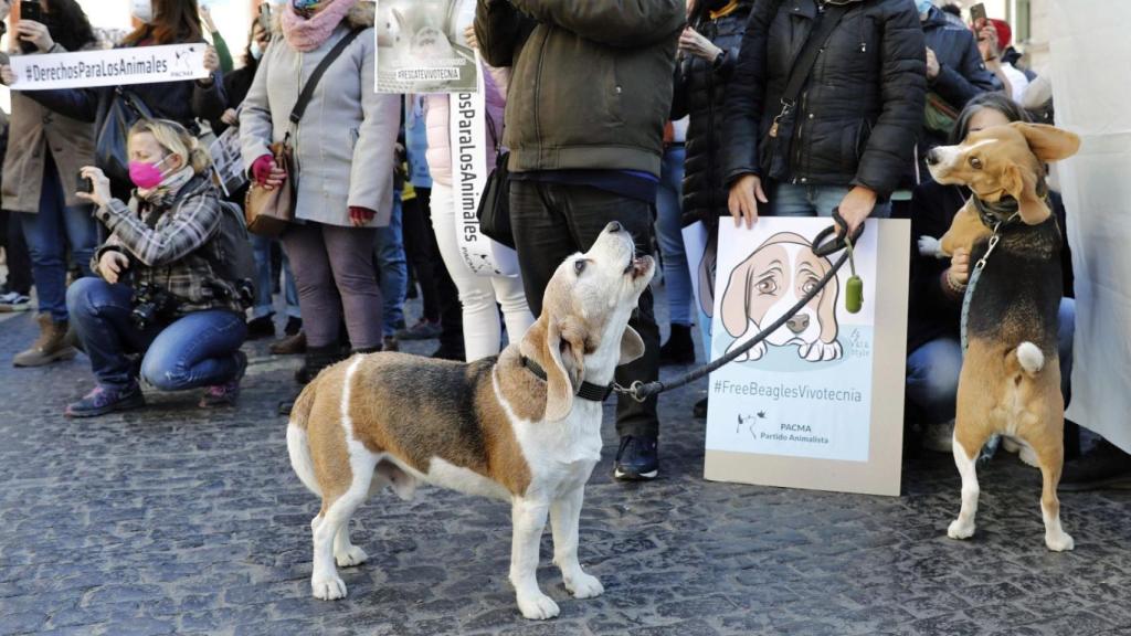 Manifestación contra Vivotecnia.