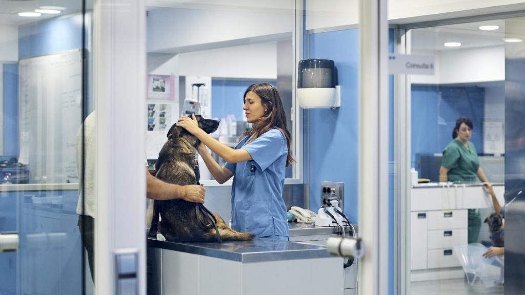 Una veterinaria con un perro.