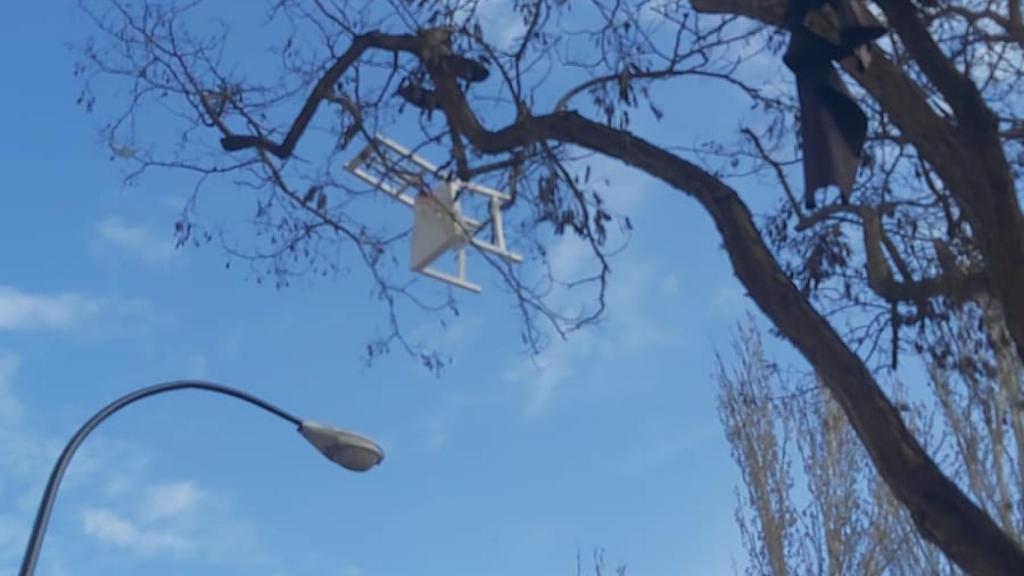 Muebles y otros materiales de uno de los apartamentos en un árbol de la zona.