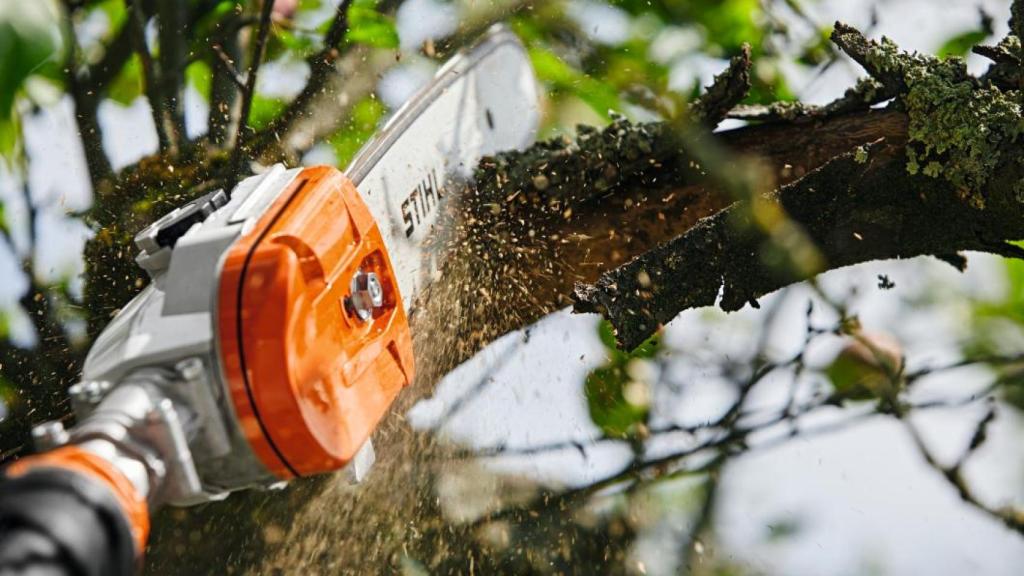 Una podadora de altura STIHL poda una rama de árbol.