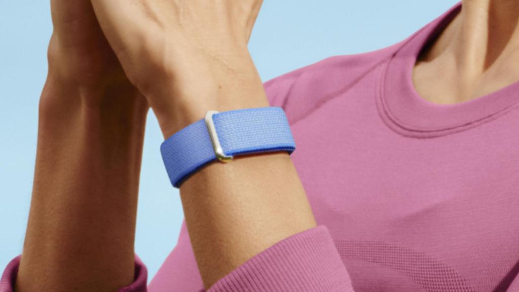 Google Fitbit Air