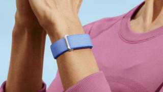 Google Fitbit Air