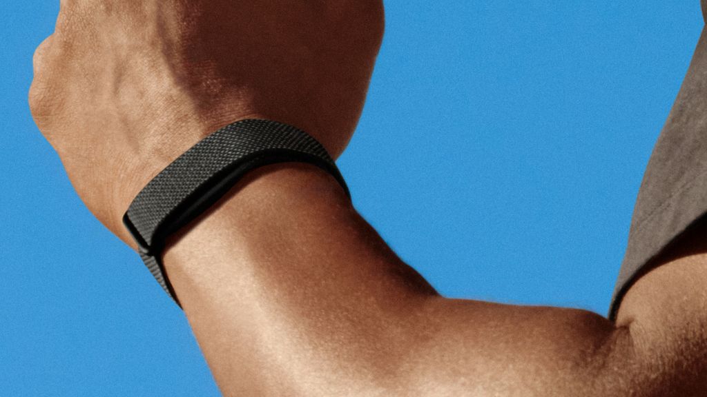 Google Fitbit Air