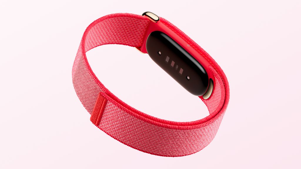 Google Fitbit Air