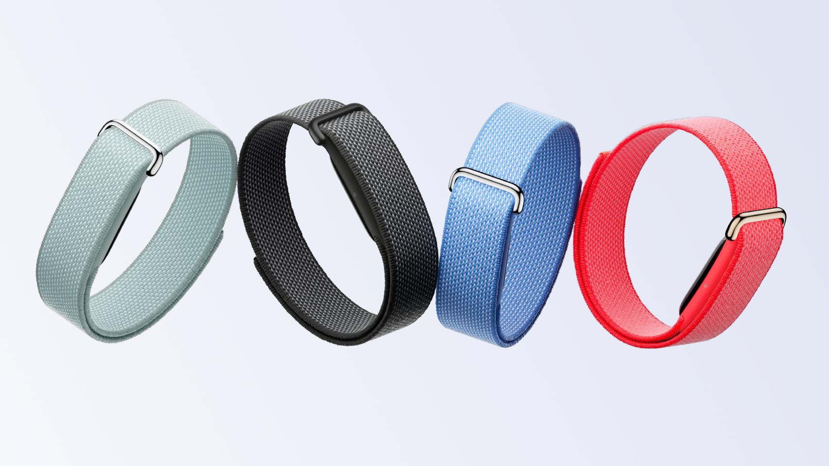 Google Fitbit Air