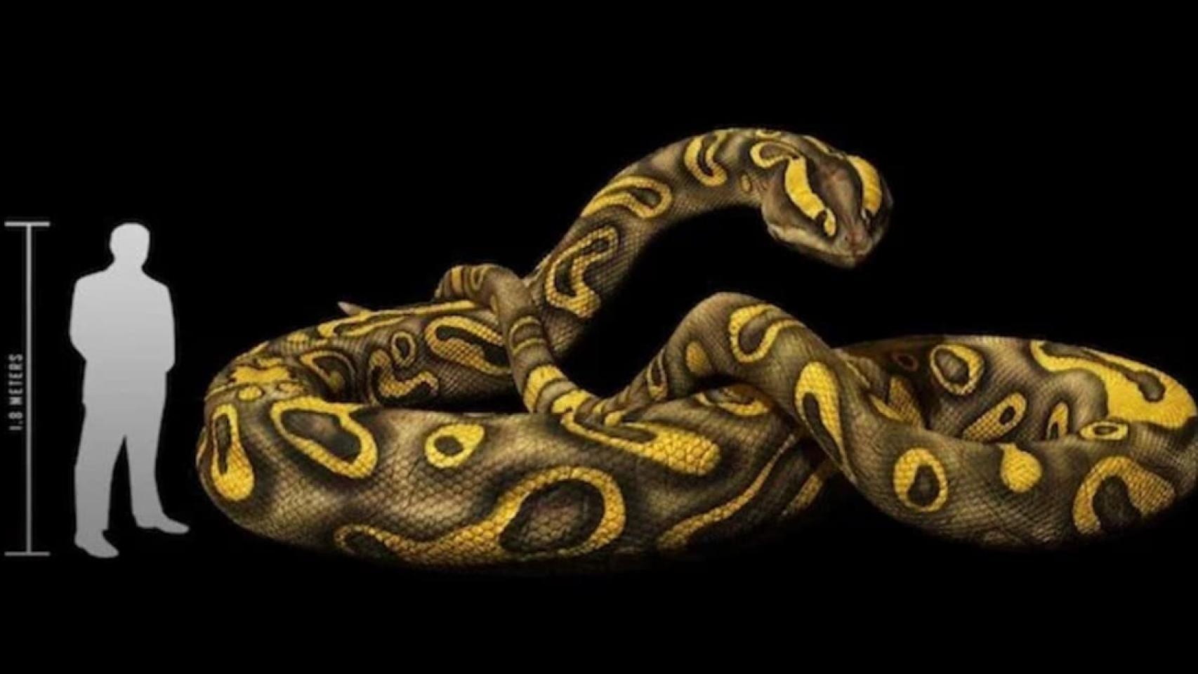 Serpiente prehistórica india.