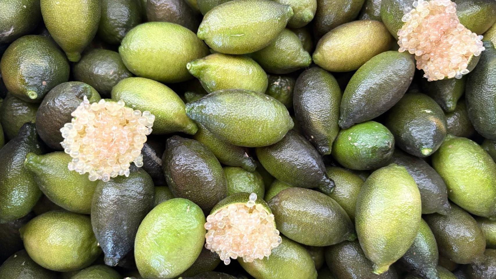 El caviar cítrico de Pepe Domínguez.