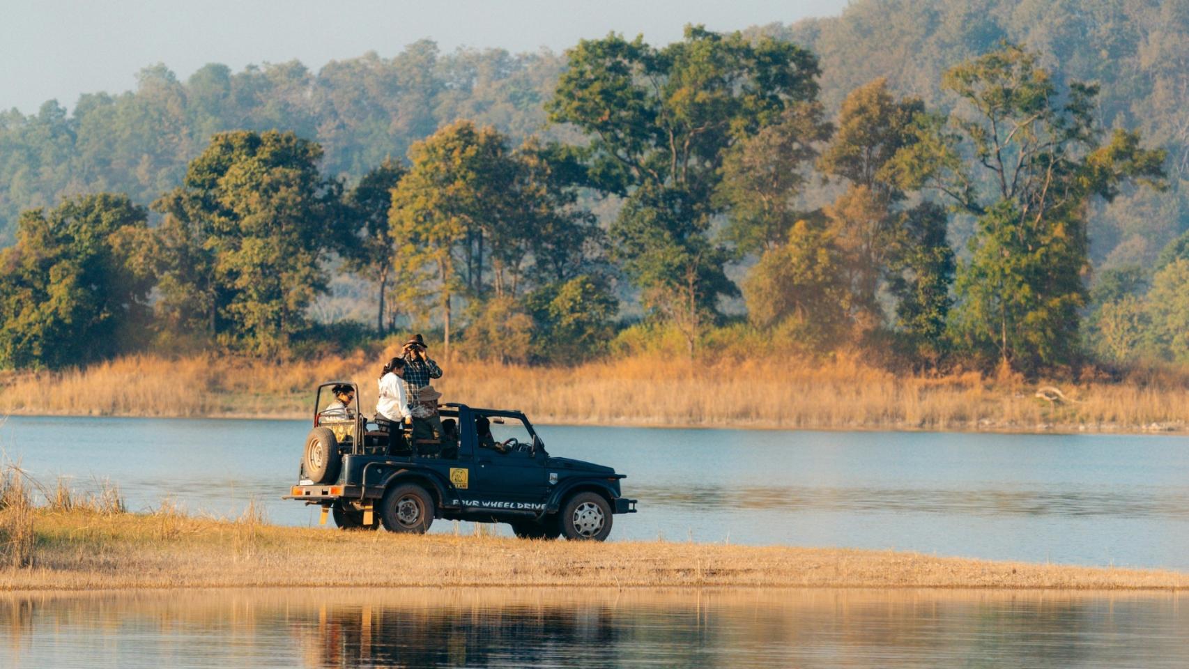 Imagen de un safari.