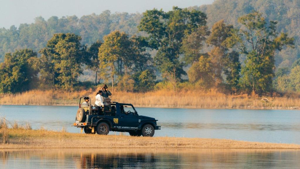 Imagen de un safari.