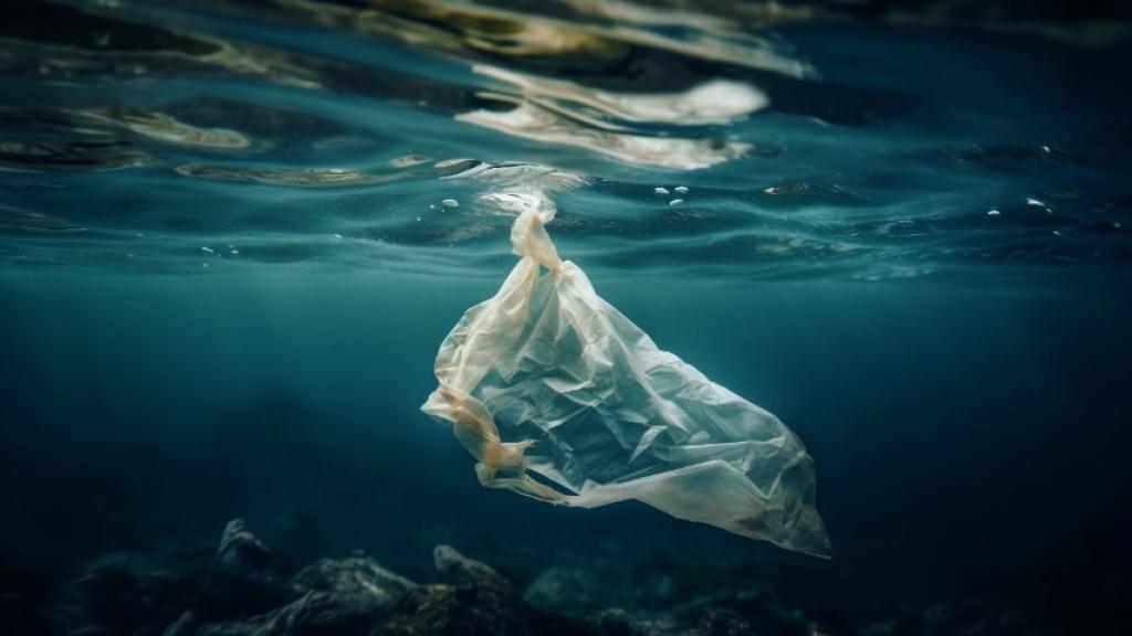 Bolsa de plástico en el mar. Europa Press