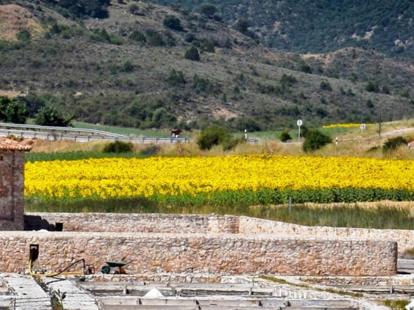 Imagen de Saelices de la Sal.