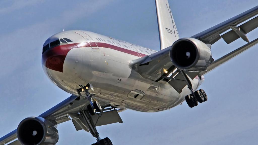 A310 del Ala 45