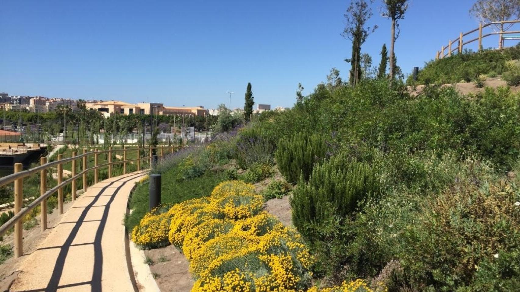 Parque Marjal, Alicante. EE