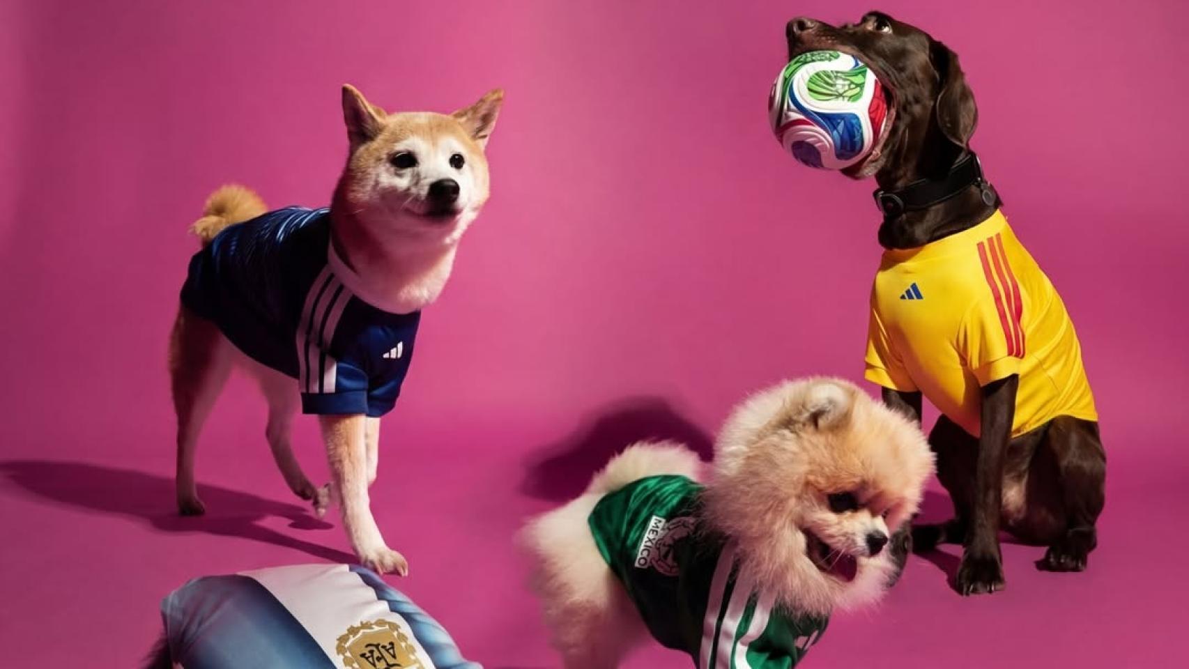 Perros y gatos con las camisetas de Adidas.