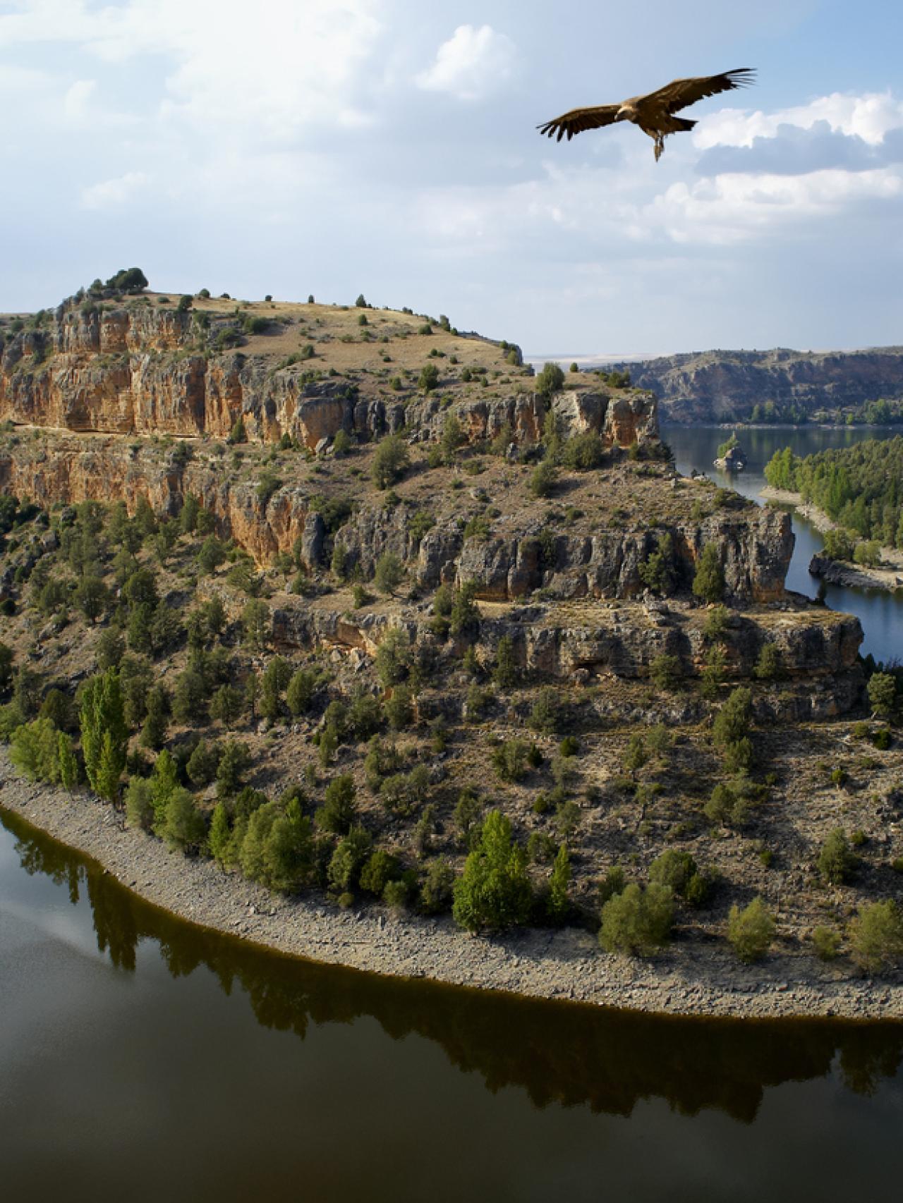 Naturaleza de Sepúlveda.