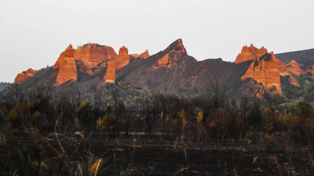 Imagen de este espacio natural afectado por un incendio el pasado año.