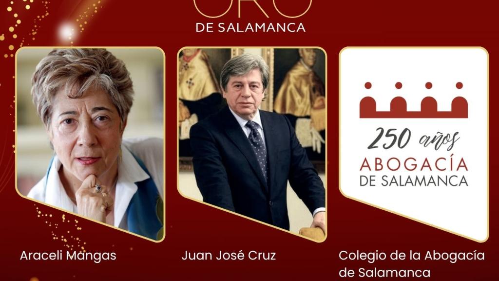 El Ilustre Colegio de la Abogacía de Salamanca, Araceli Mangas y Juan Jesús Cruz.
