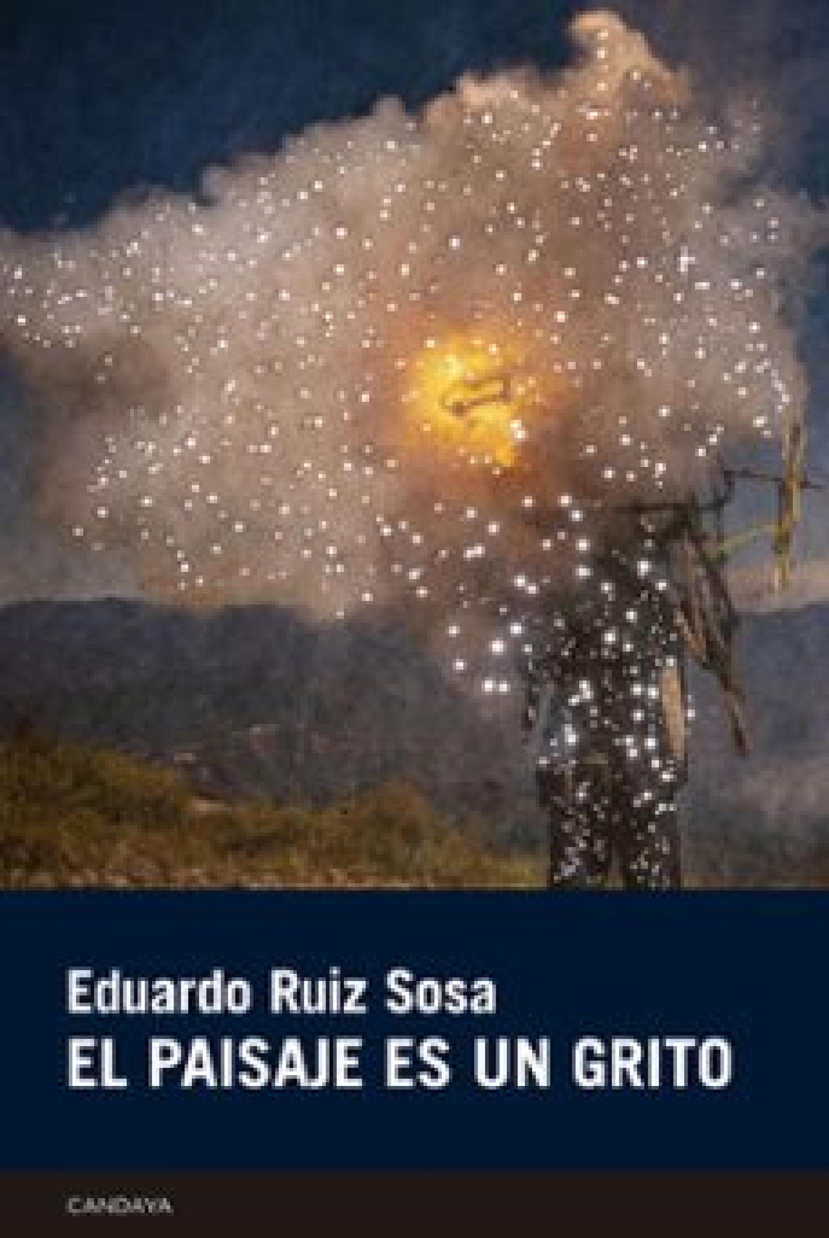 Portada de ' El paisaje es un grito',