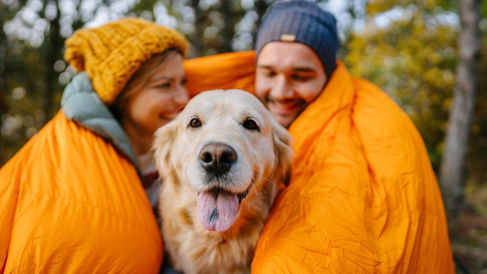 Una mujer y un hombre con un golden. 