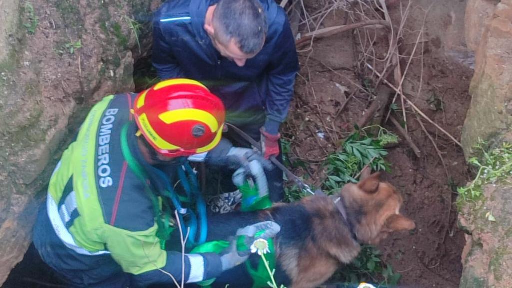 Los bomberos rescatan al pastor alemán que cayó a un hoyo de cuatro metros de profundidad