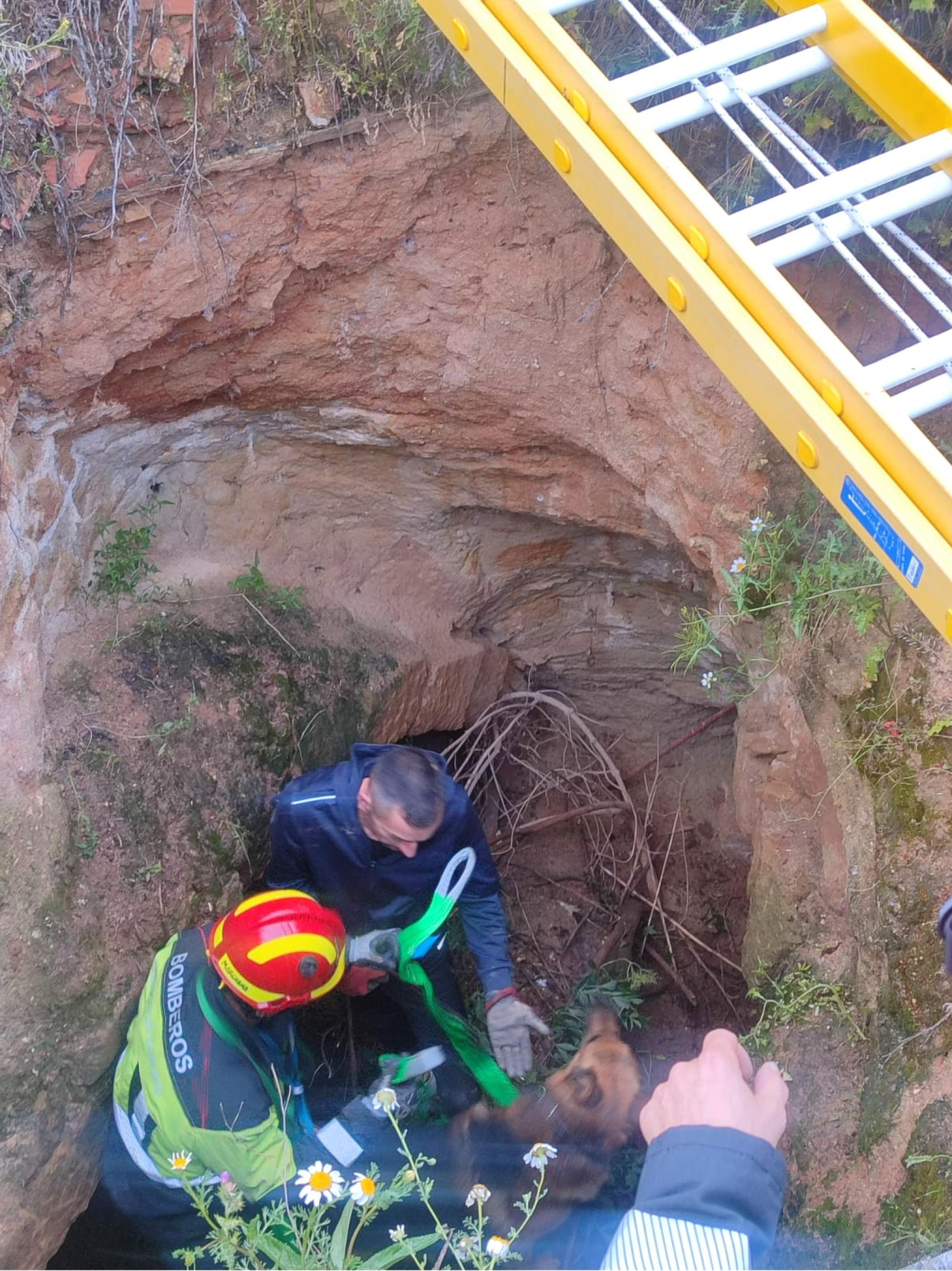 El animal quedó a trapado a gran profundidad