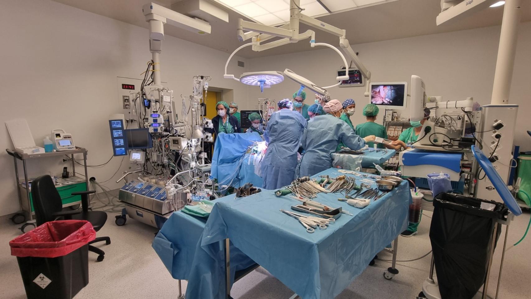 Imagen de archivo de transplante