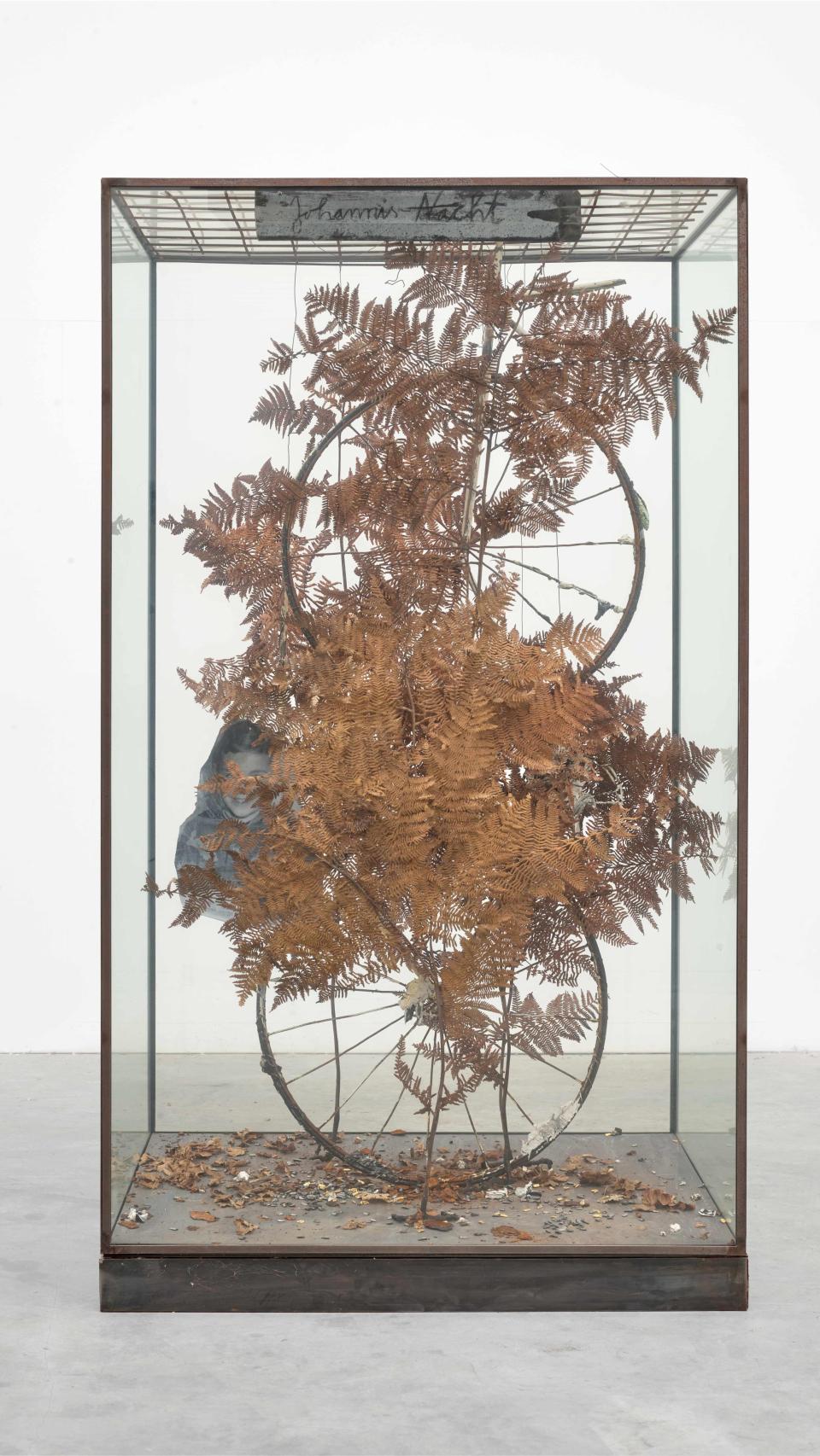 Anselm Kiefer: 'Johannis-Nacht', 1995. Foto: CAHH