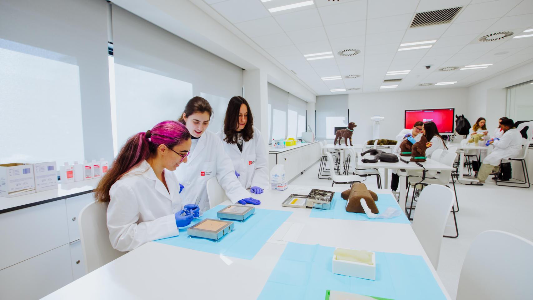 Universidad Europea de Madrid (UEM)