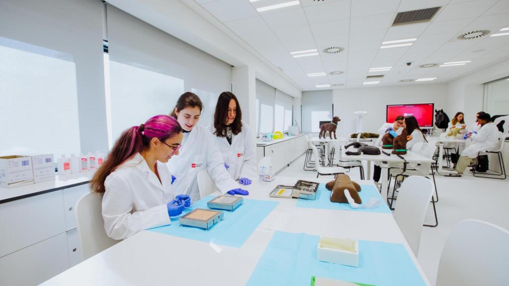 Universidad Europea de Madrid (UEM)