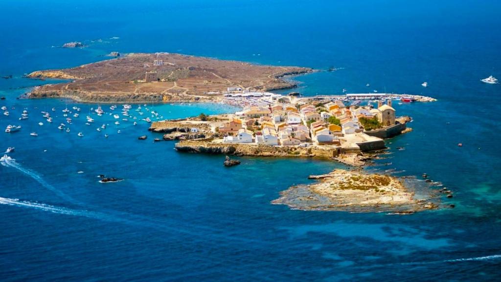 Tabarca es oficialmente el termómetro del mar.