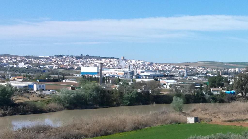 Esta población se encuentra muy cerca del río Guadalquivir y recorrido por el Guadalbullón.