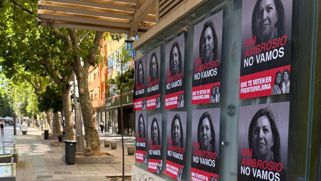 Carteles aparecidos en Córdoba.