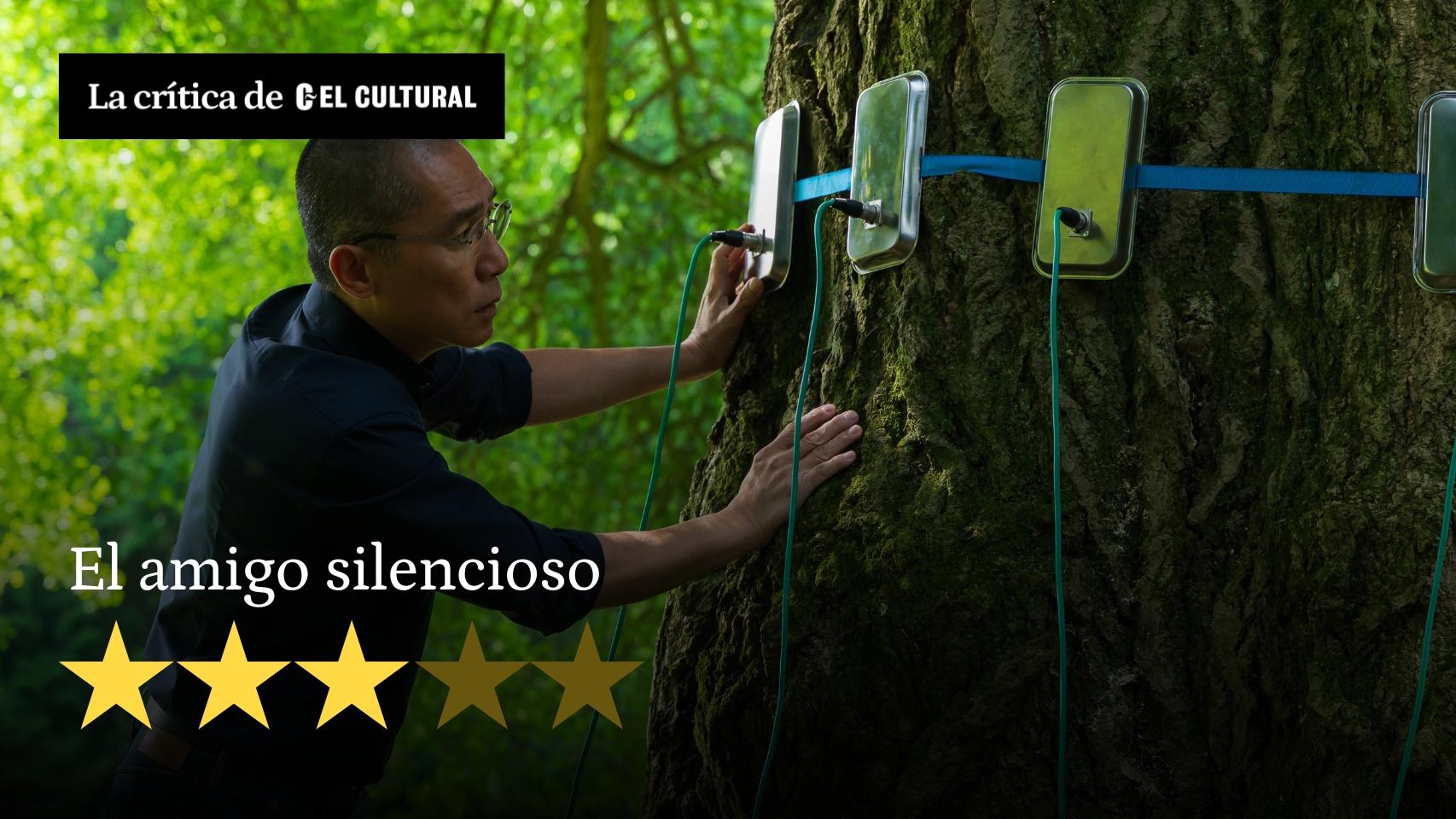 Tony Leung y el gyngko milenario en 'El amigo silencioso'