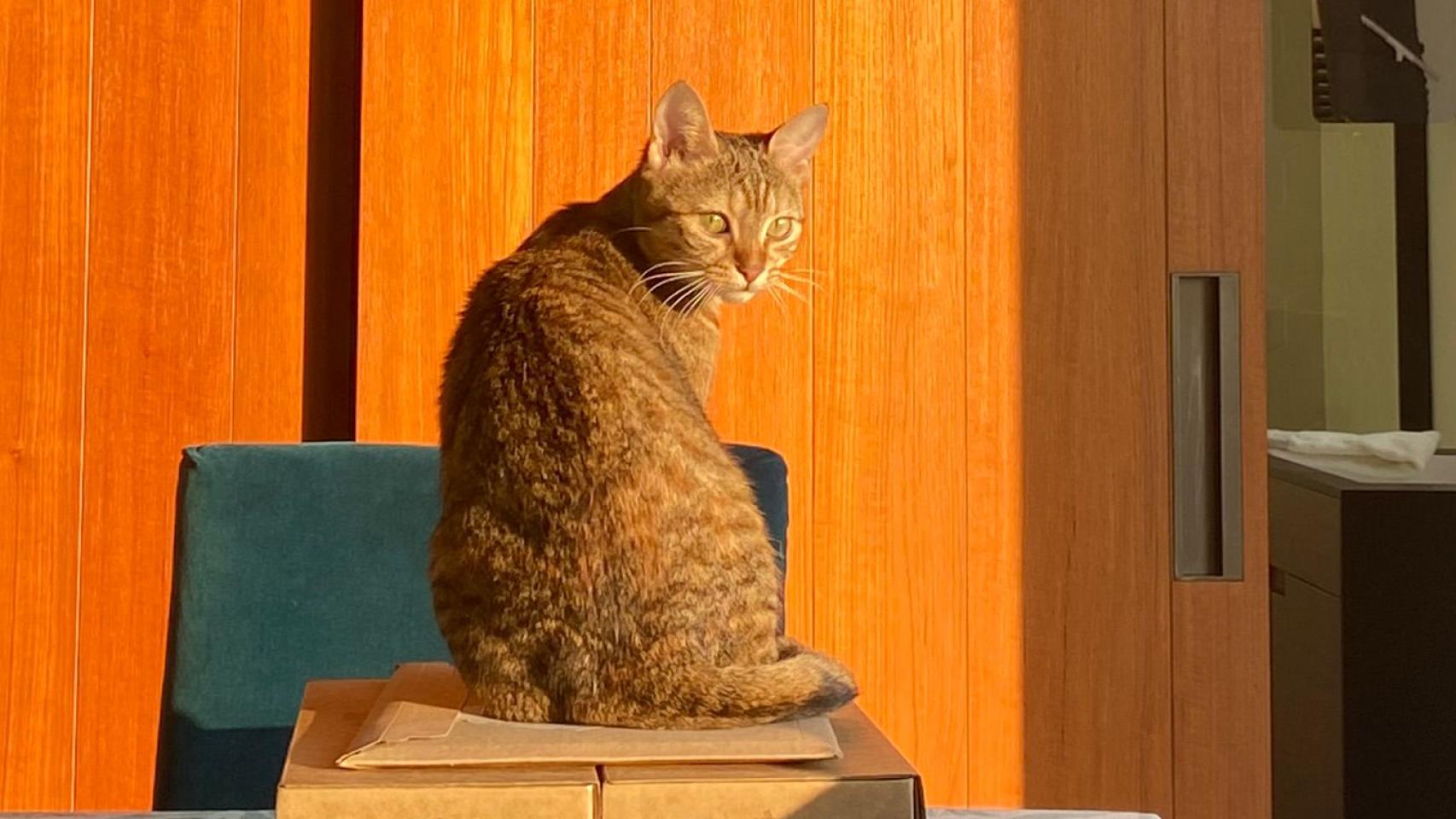 Minnie.