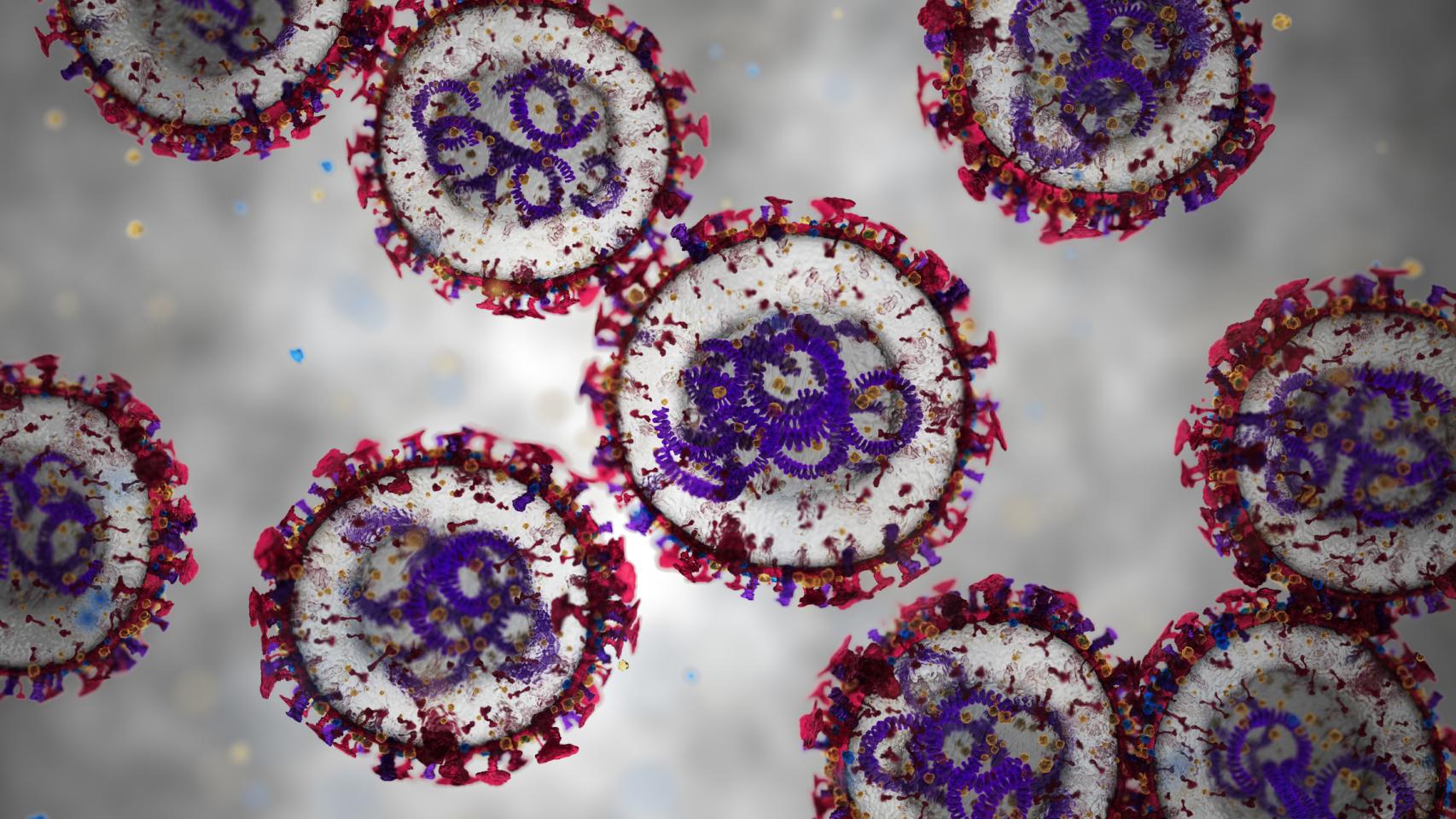 Células de hantavirus. 