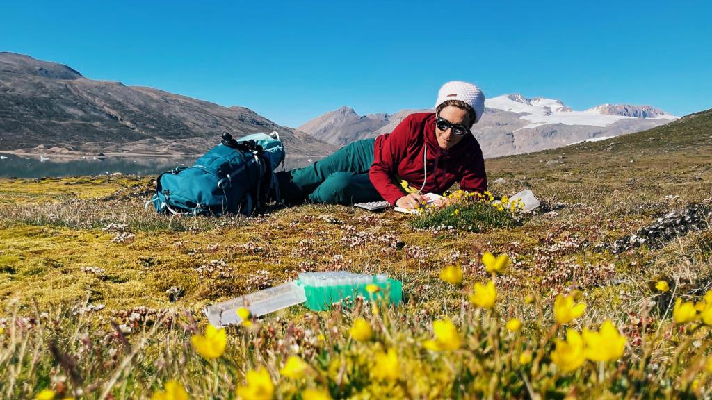 Anna tomando muestras en Gerdøya, julio de 2024.