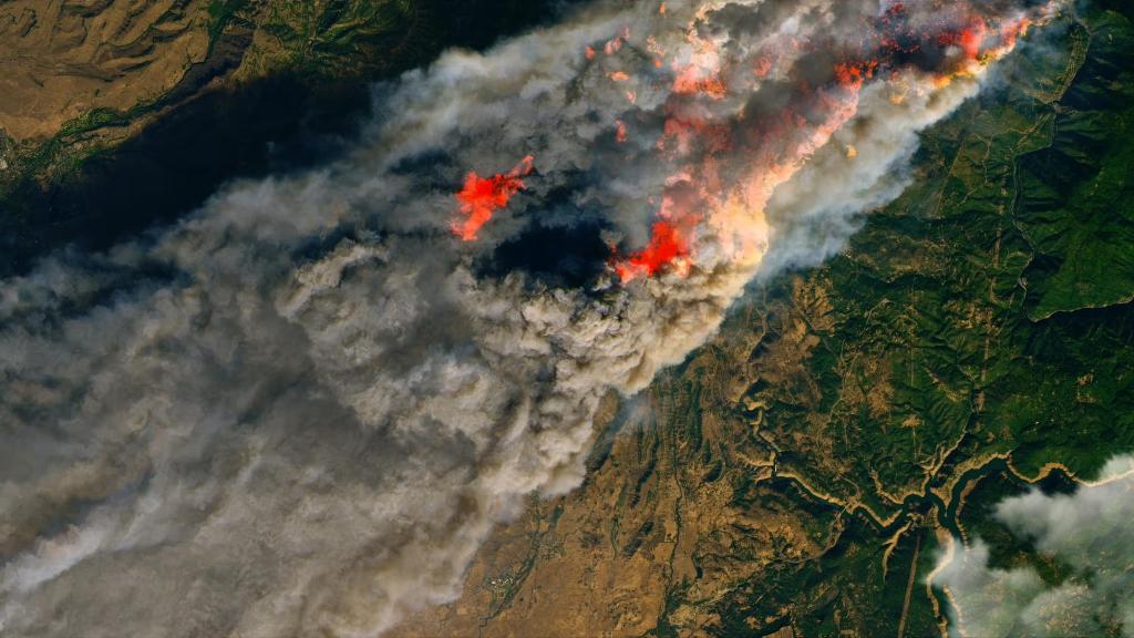 Incendios en el Amazonas.