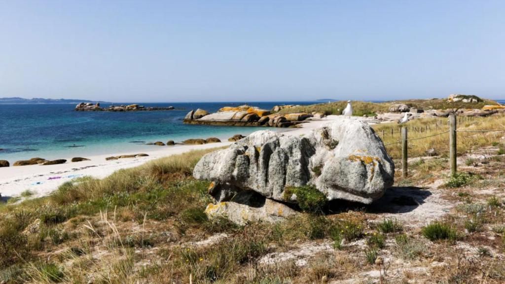 Illote Guidoiro Areoso, hogar de flora y fauna protegidas