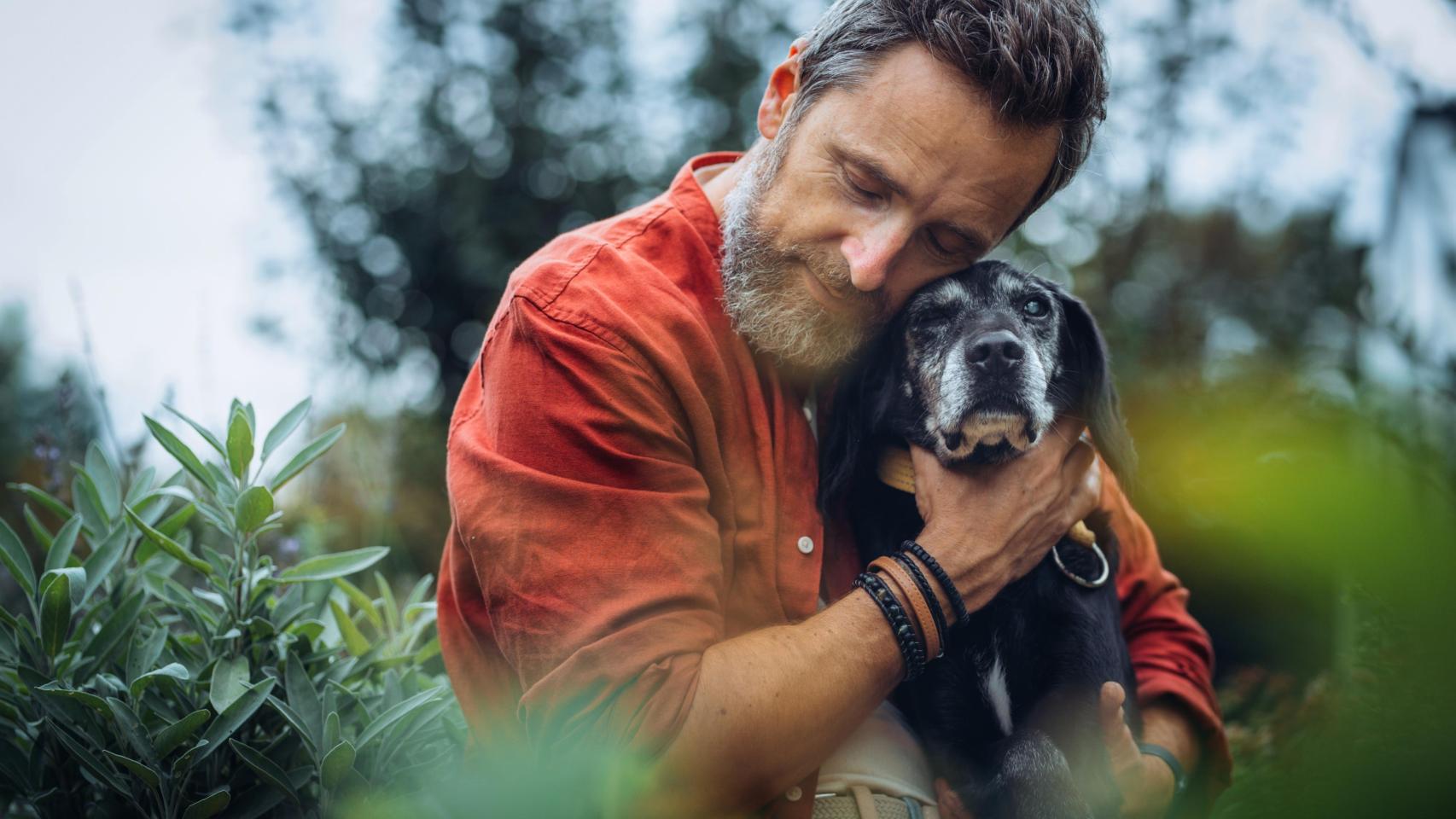 Un perro anciano junto a su dueño, en una imagen de Shutterstock.