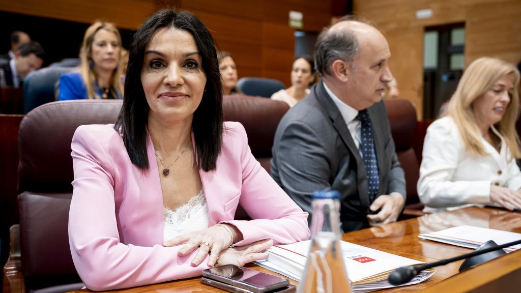 La consejera madrileña de Educación, Mercedes Zarzalejo, en la Asamblea de Madrid.