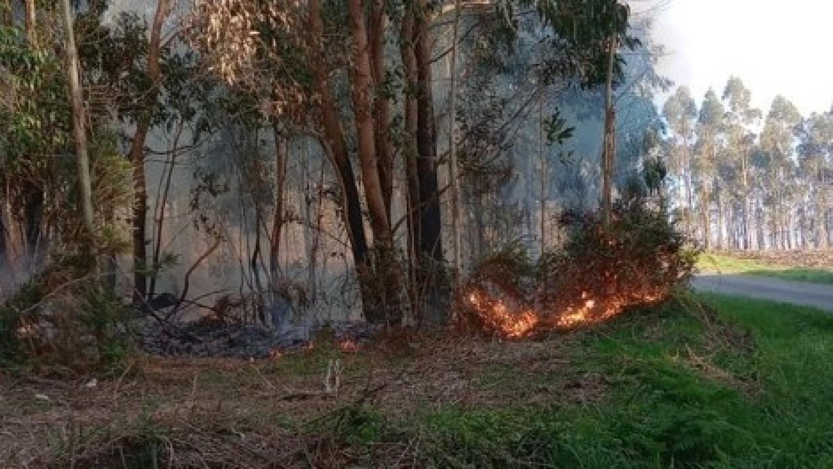 Imagen de uno de los incendios forestales 