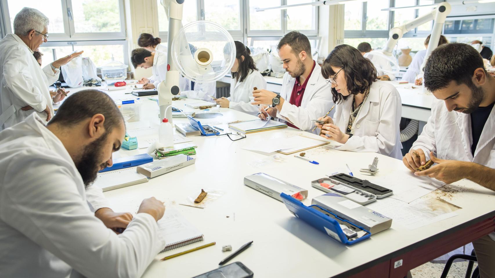 Universidad Autónoma de Madrid (UAM)