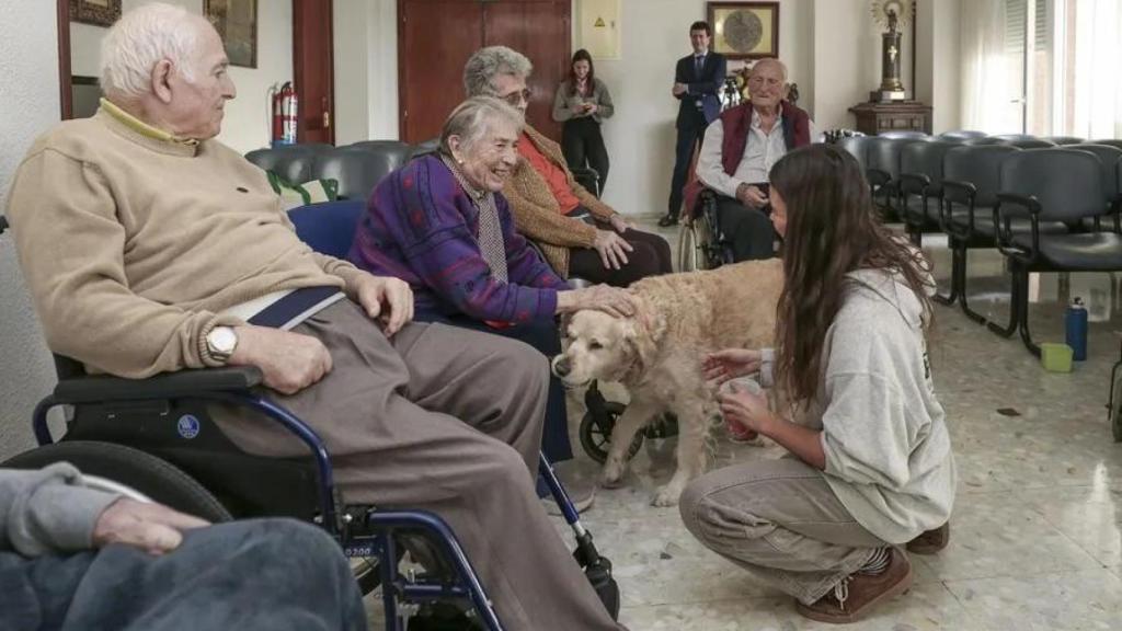 Personas de la tercera edad disfrutando junto a un perro. EFE